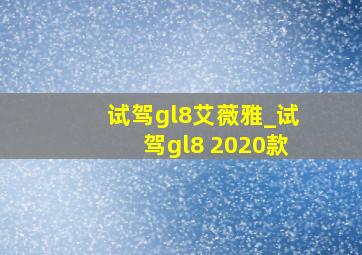 试驾gl8艾薇雅_试驾gl8 2020款